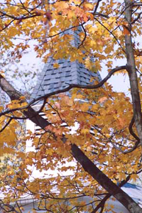 Autumn Angels  Picture #0014