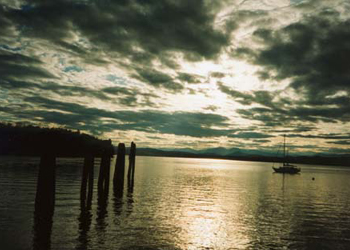 Sailing Sunset  Picture #0017
