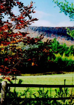 Autumn Meadows Picture #0026