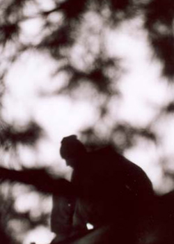 Lost in the Moment Picture #0033