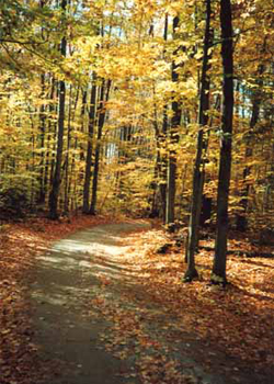 Tranquility Pike Picture #0036