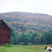 Guy's Idyllic Images