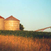 Guy's Idyllic Images