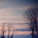 Guy's Idyllic Images