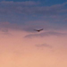 Guy's Idyllic Images