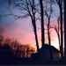 Guy's Idyllic Images