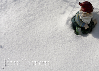 Snow Covered Nome & Friend