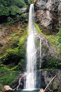 Waterfall, Hoh Rain Forest Oregon Picture #18