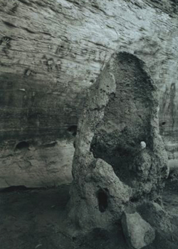 Termite Oven Australia Picture #30