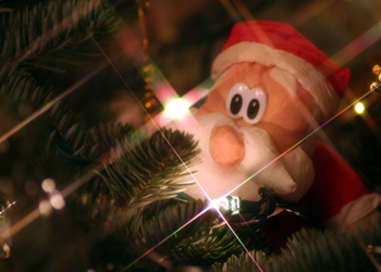 Sparkling Santa Picture #34