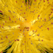 Jim's Idyllic Images