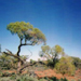 Jim's Idyllic Images