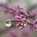 Jim's Idyllic Images